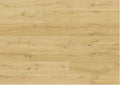 Almond Oak 8255
