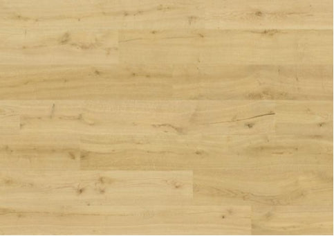 Almond Oak 8255