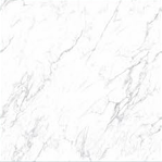 Antique Carrara RC69001 (POA)