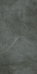 Armani Platinum RG50023
