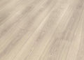 Ashen Oak 52469