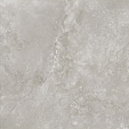 Baltic Ash RG10072 (POA)