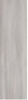 Bohemian Pine