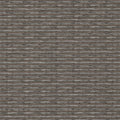 NAIROBI - Cinnamon (POA)
