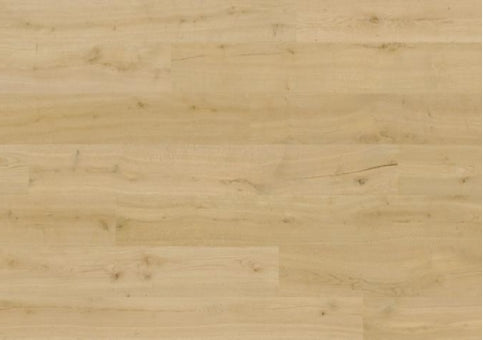 Cotton Oak 8254