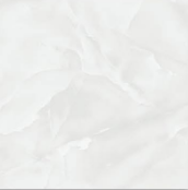 MSG33005