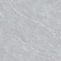 MSG66009