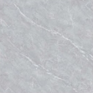 MSG66009