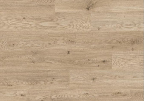 Pantin Beige Oak 355
