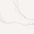 Polaris White RG8029 (POA)