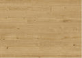 Popcorn Oak 608