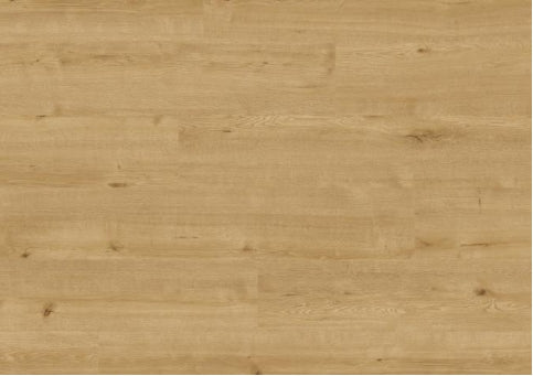Popcorn Oak 608