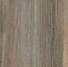 RG10045