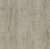 RG6613