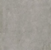 RVG3001 (POA)