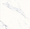 RVG3029 (POA)