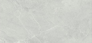 Selina Grey RG50058 (POA)