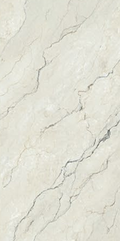Silver Trace RP612097 (POA)