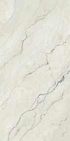 Silver Trace RP612097 (POA)