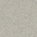 Tatum Silver RG10024 (POA)