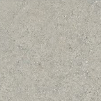 Tatum Silver RG10024 (POA)