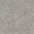 Thunder Silver RG8008 (POA)
