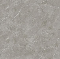 Thunder Silver RG8008 (POA)