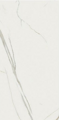 White Lotus RP612029 (POA)