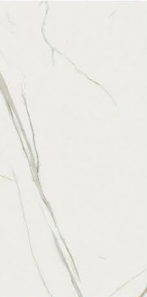 White Lotus RP612029 (POA)